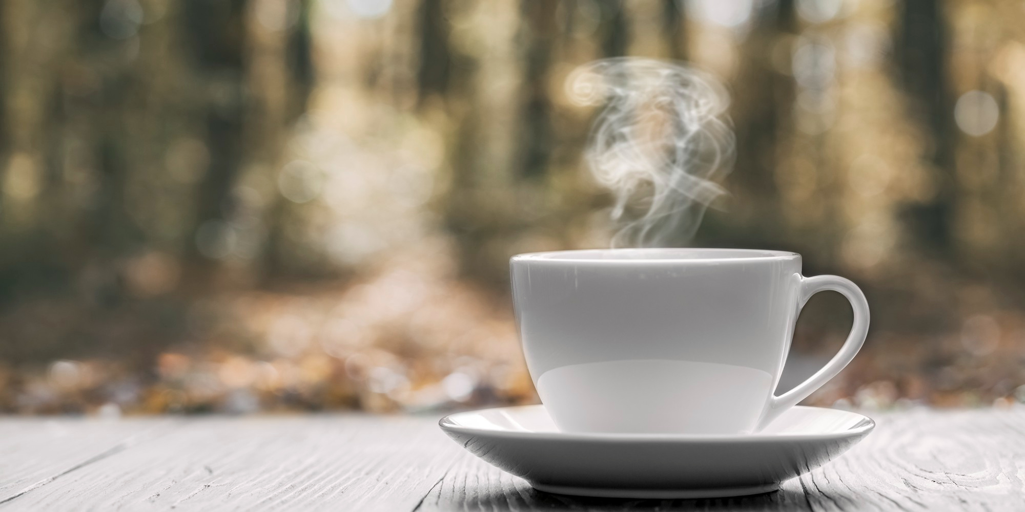 bg_sec_img_contact1_page1_sctn7